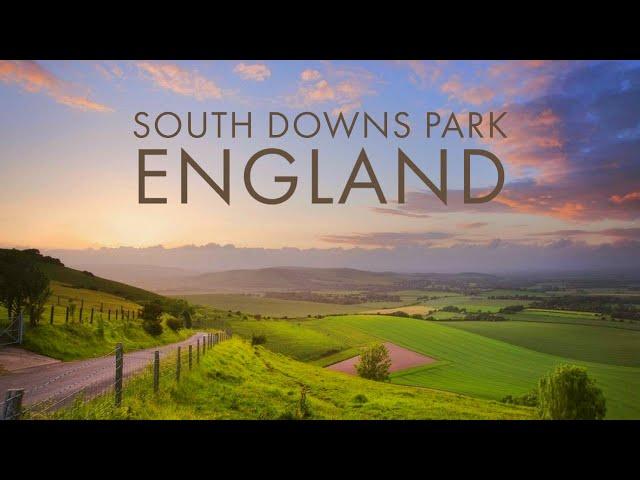 Hiking In the South Downs National Park, UK 4K 