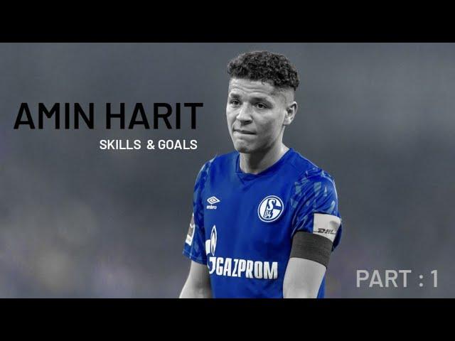 Skills and goals of Moroccan talent , Amin Harit 