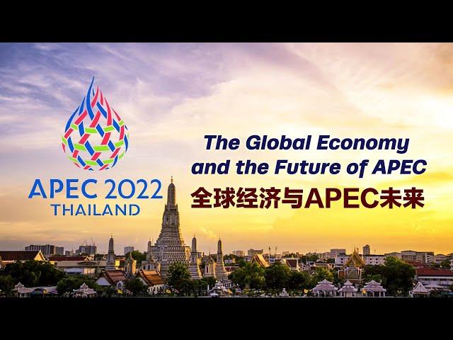 Live: 2022 APEC Open Forum – The Global Economy and the Future of APEC