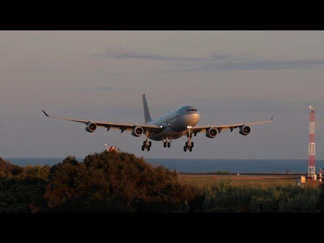 Qatar A340 A7HHK Landing & Taking Off at Ponta Delgada Aiport PDL/LPPD