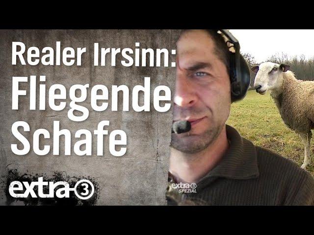 Realer Irrsinn: Schaftransport im Flugzeug  | extra 3 | NDR