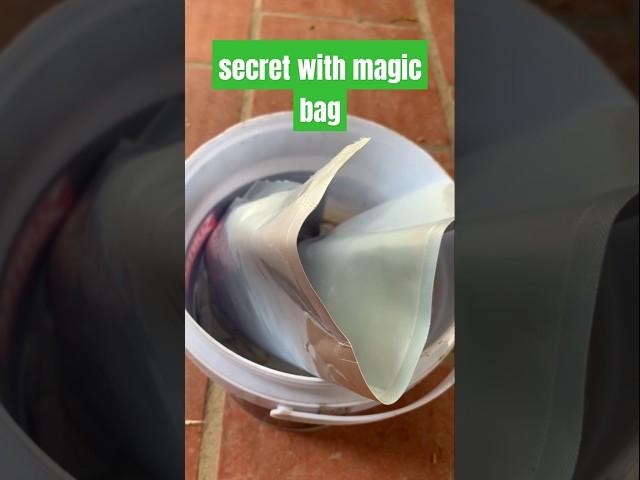 secret with magic bag #ntdtip #tipsnntricks #tricks #tips #recycle #ideas #shorts