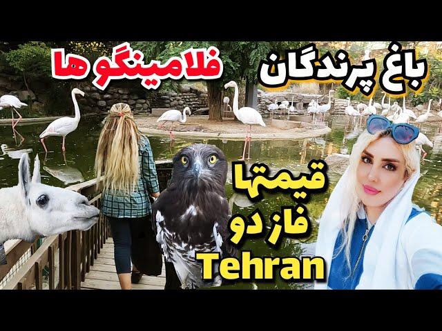 IRAN Garden Bird Identification Guide bird Names and Songs