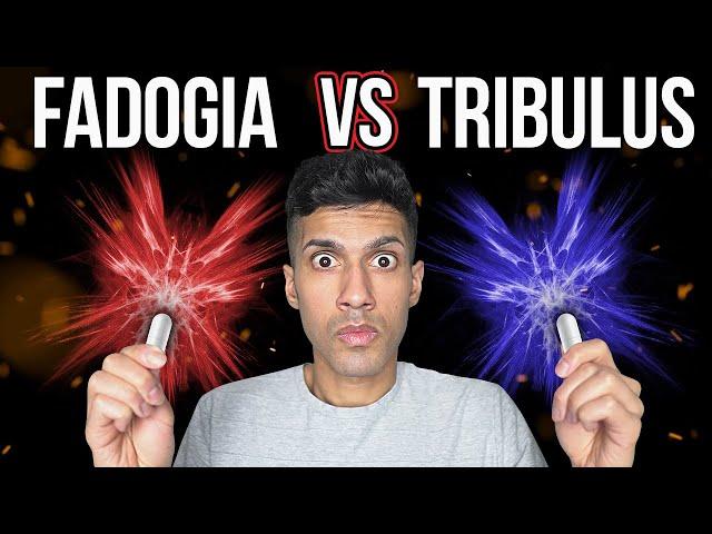 Fadogia Agrestis vs. Tribulus Terrestris | Boost Testosterone