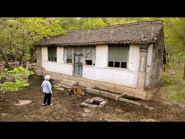 Grandma Gave Me An Old House ~ This Artistic Girl Renovated It Into A Beautiful House| Room Makeover