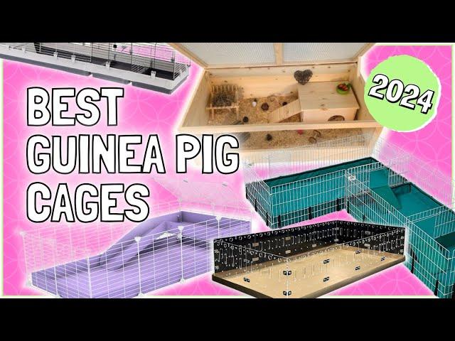 8 Best Guinea Pig Cages for 2025 