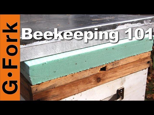 Winter Inner Cover - Beekeeping 101 - GardenFork