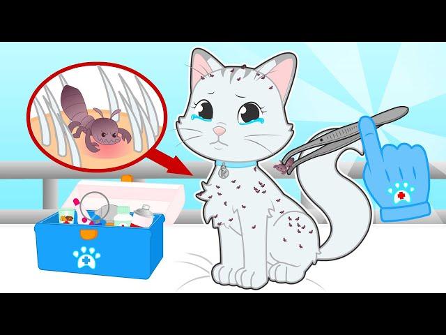 BABY PETS 🪳 Kitty Kira has Lice