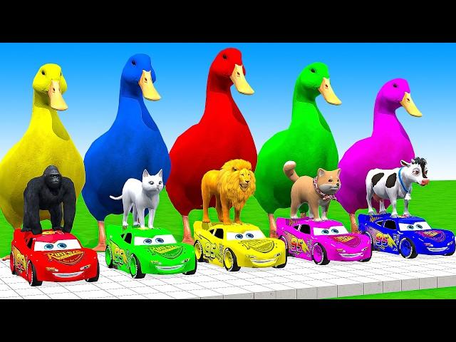 5 Giant Duck Cartoon,Cow,Lion,T-Rex,Husky,Bear,Monkey Paint Wild Animals Crossing Fountain Animation