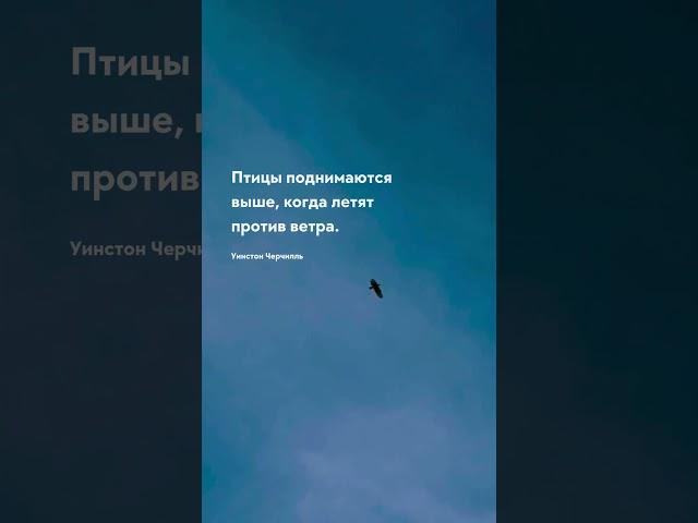 Поднимаются выше Жизненные цитаты #цитаты #цитата #прожизнь #мудрость #жизнь #тост #цитатадня#цитати