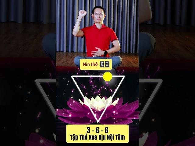 Hít Thở 3-6-6 Liệu Pháp Xoa Dịu Nội Tâm, Tĩnh Tâm Dễ Ngủ