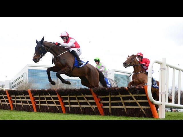 HELLO NEIGHBOUR captures Grade One glory at Leopardstown