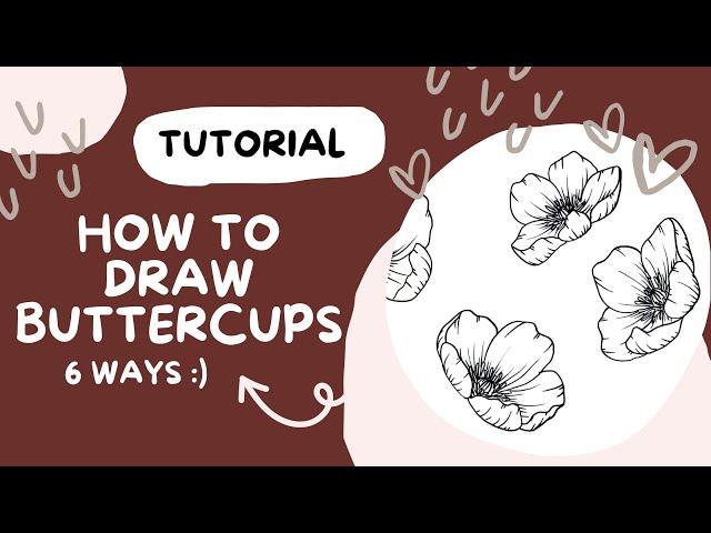 Learn how to draw flowers: BUTTERCUPS tutorial