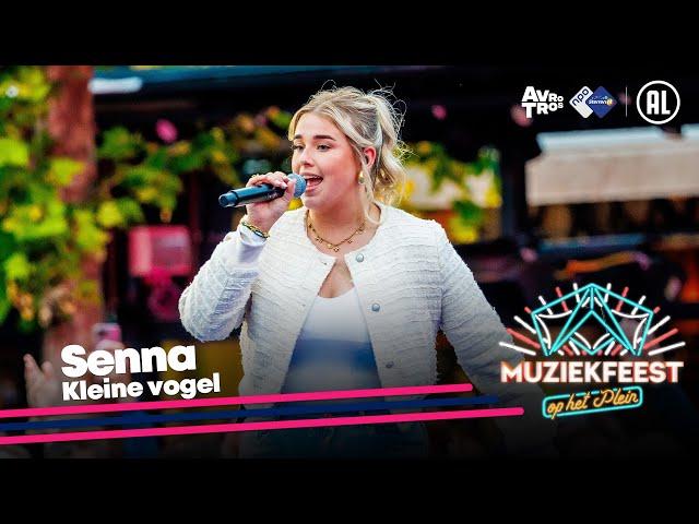 Senna - Kleine vogel (LIVE) • Muziekfeest op het Plein 2024 // Sterren NL