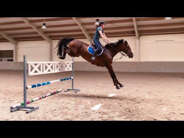 JUMPING GRAND PRIX HORSES IN FRANCE