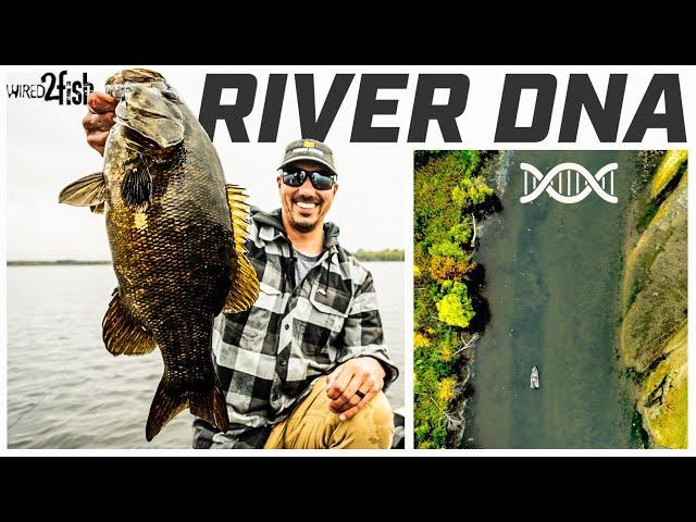 River Smallmouth Bass | Tips to Find and Catch in Current