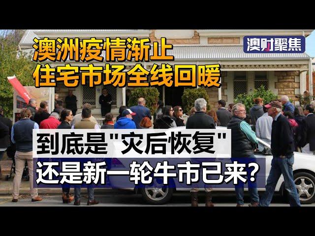 澳洲疫情渐止，住宅市场全线回暖，新一轮牛市来了？