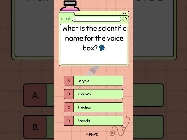  From Sound to Science: What Is the Real Name of Your Voice Box?  #mededtrivia #voice #triviatime