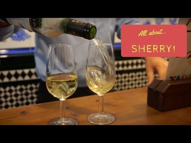 All About Sherry! || The secrets behind Spain's misunderstood wine!