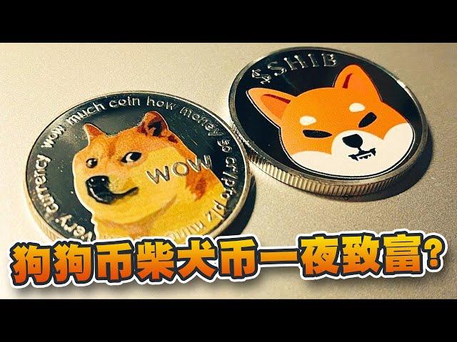 迷因币是什么？狗狗币柴犬币怎样一夜致富？该怎么买才可减低风险｜Cryptonews