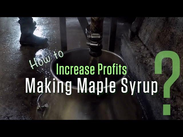 How to increase profits making maple syrup?