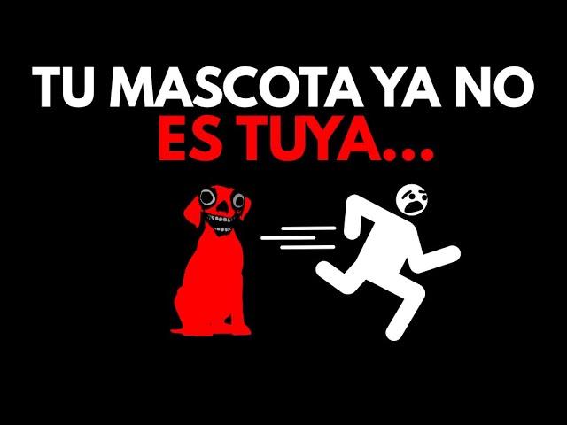 Por qué mi PERRO se comporta como HUMANO?