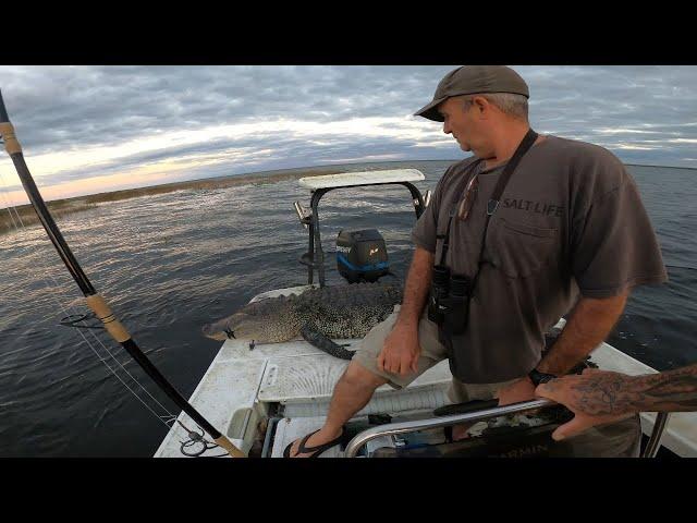 Big Gator almost pulls me out of the boat!!! Last hunt of the season