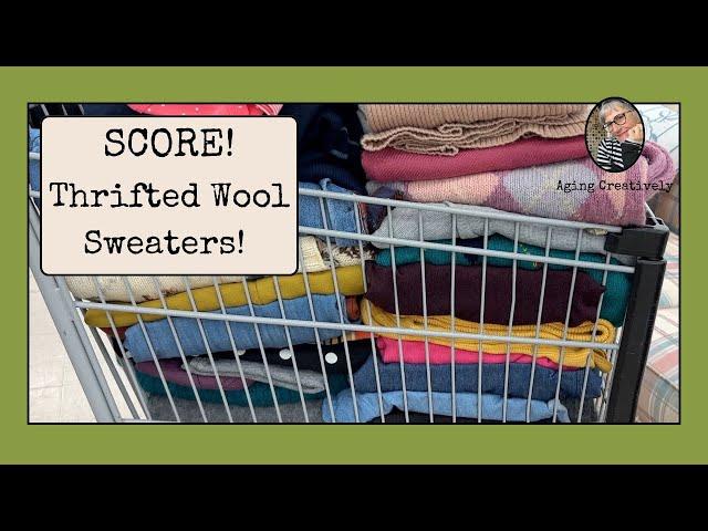 Thrifting for Wool Sweaters: Jeri and Brian Out & About