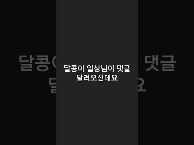 달콩이 일상님 음원