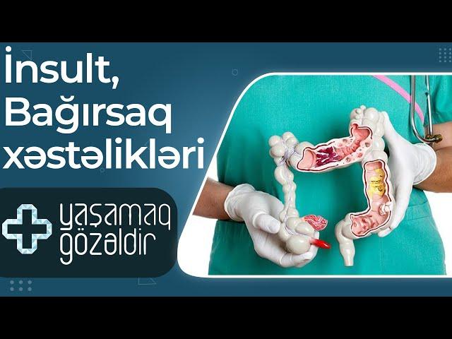 İnsult, Bağırsaq xəstəlikləri - Lalə Abdulova, Vəfa Əhmədova - 19.04.2022 - Yaşamaq Gözəldir