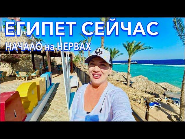 Египет 2024. Как ВАМ ТАКОЕ️ПЕРВАЯ линия. ПОГОДА МОРЕ ПЛЯЖ. Tamra Beach Resort 4*. Шарм Эль Шейх