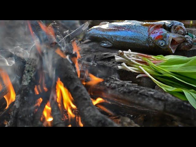 Catch and Cook Rainbow Trout - with Wild Leeks