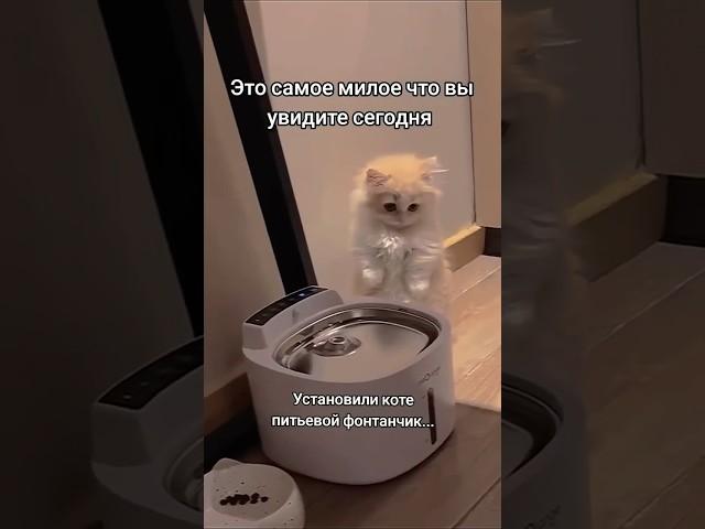 Арт. YM10029708 #яндекс МАРКЕТ мои супер находки #распаковка для дома #обзор #wildberries