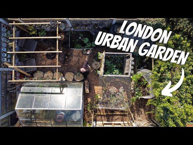 How to Grow Food in a City