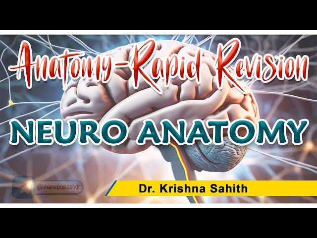 Neuroanatomy Rapid Revision : Dr Krishna Sahith