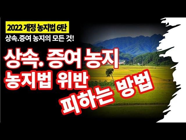 상속.증여농지의 농지법 위반 피하는 방법과 양도소득세 해설/ 상속농지와 증여농지의 차이점....?