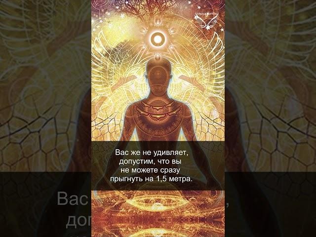 Ангел-хранитель. Интуиция. 60/67