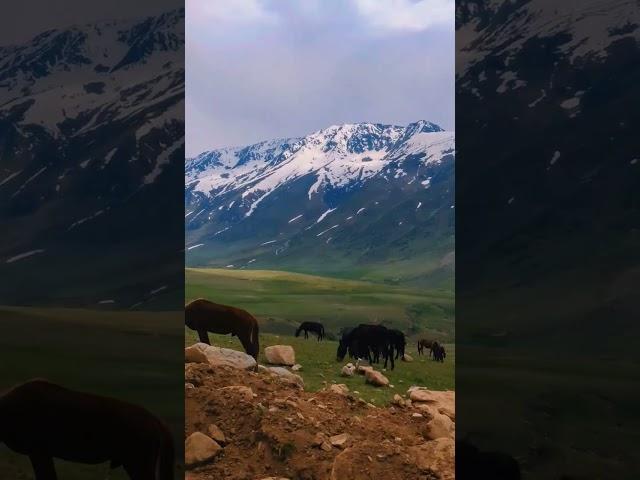 Beautiful scenic point #nature #gilgitbaltistan #discoverpakistan #pakistan #travel #baltistan