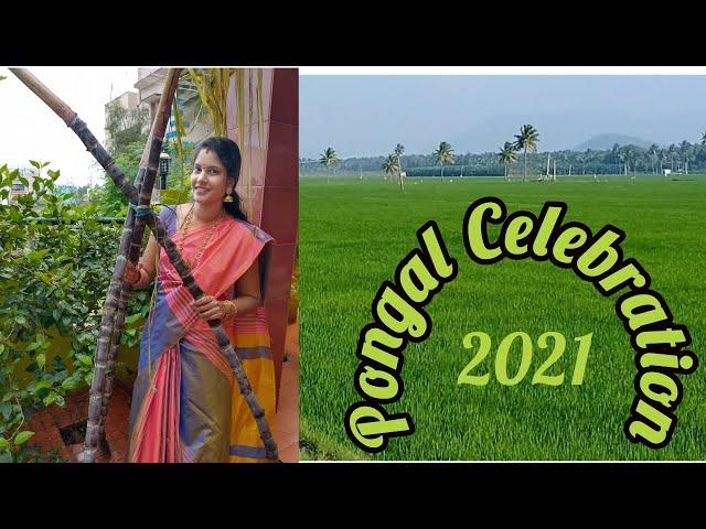 Pongal celebration 2021/happy times with saranya