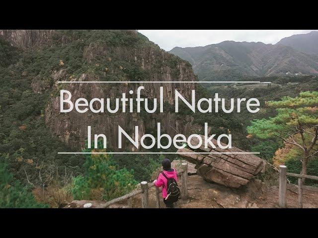 Enjoying the natural beauty of Nobeoka!