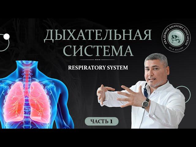 Дыхательная система часть 1 / Respiratory system part 1