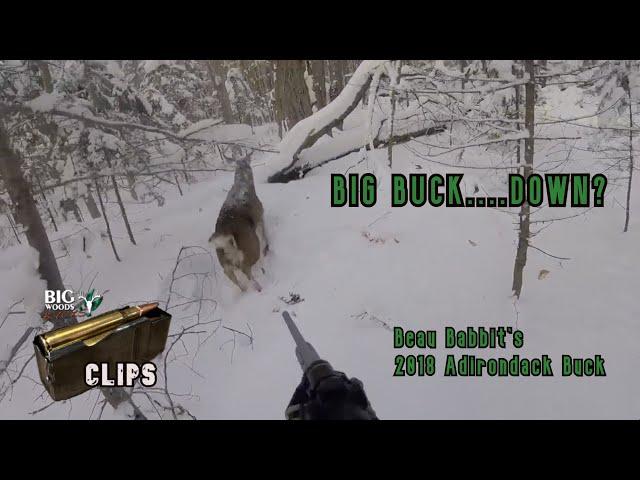 Beau Babbit's 2018 Adirondack Buck - BIG BUCK....DOWN? | Big Woods Bucks