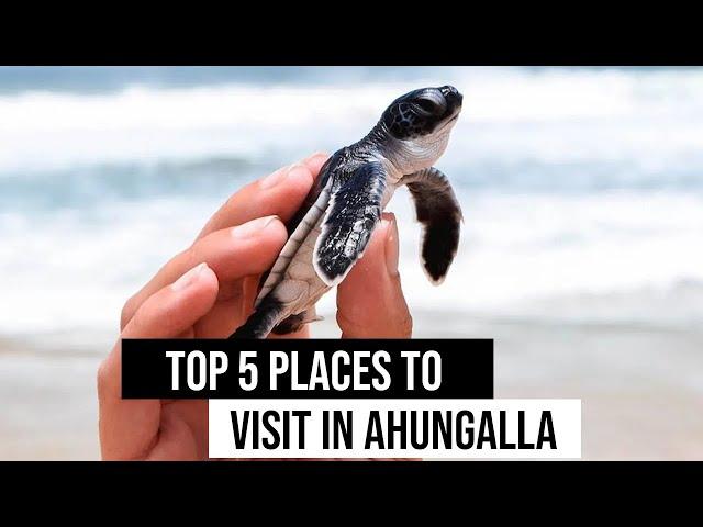 Top 5 places to visit in Ahungalla Sri Lanka | Sunnysl Travels