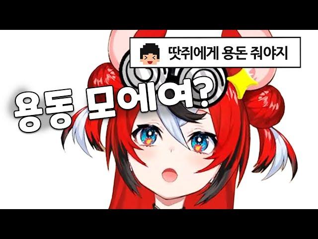 한국인한테 용돈받는 땃쥐