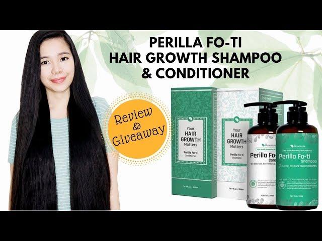 TGL Perilla Fo-ti Hair Growth Shampoo & Conditioner Review + (GIVEAWAY)Beautyklove