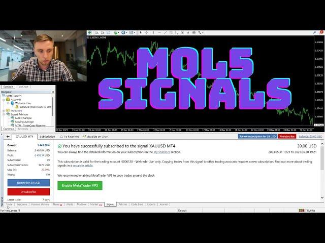 MQL5 signals. How to subscribe to profitable signals providers? Video tutorial