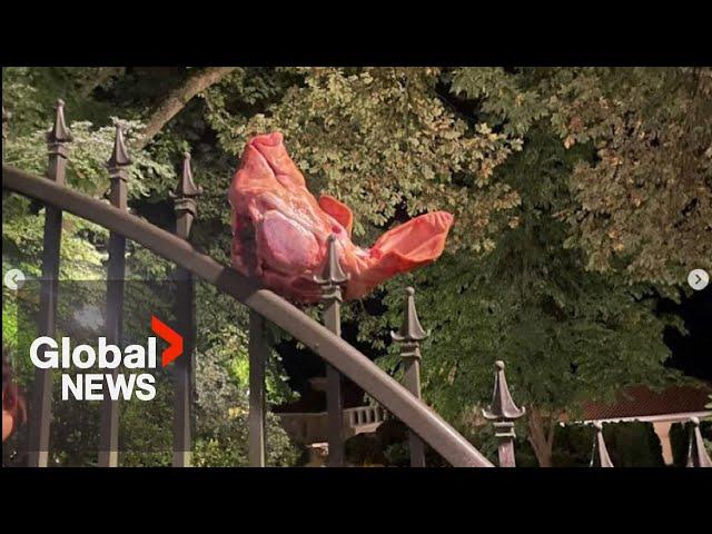 Pig head mounted on UBC fence an act of antisemitism, Jewish group says