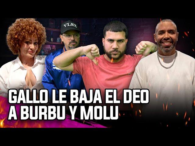 GALLO LE MANDA FUEGO A BURBU & MOLU