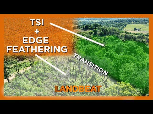 TSI + Edge Feathering | Creating Transition Areas For Deer!