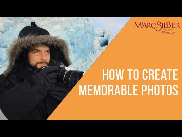 How to Create Memorable Photos feat. Wildlife Photographer Florian Schulz #shorts